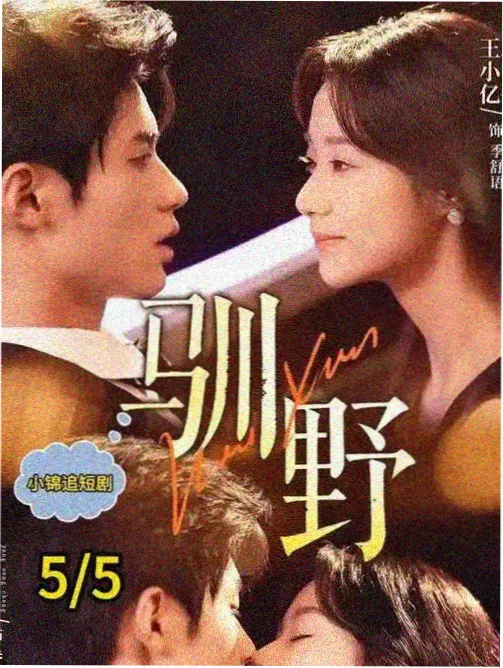 回声档案剧集封面